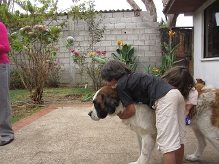 Img 0791