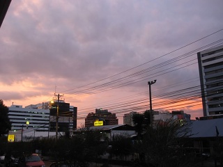 Img 0795