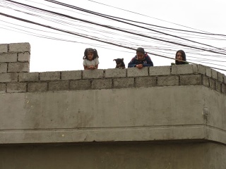 Img 0837