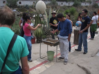 Img 0889