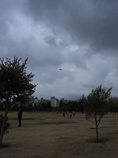 Img 0898