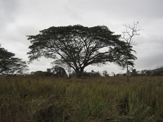 Img 0920