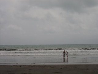 Img 0931