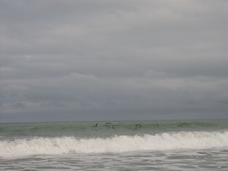 Img 0947