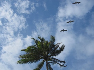 Img 0953