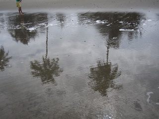 Img 0956