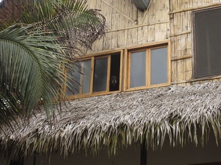 Img 0977