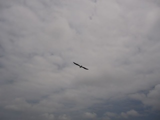 Img 0986
