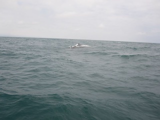 Img 0999