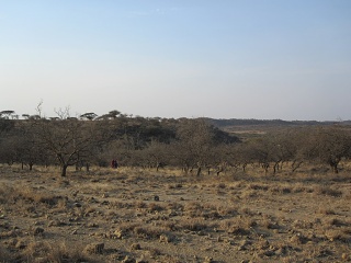 IMG 2369