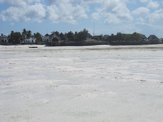 IMG 2485