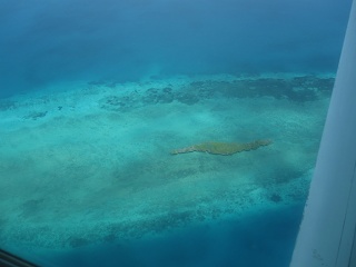 IMG 2563