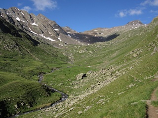 IMG 1719