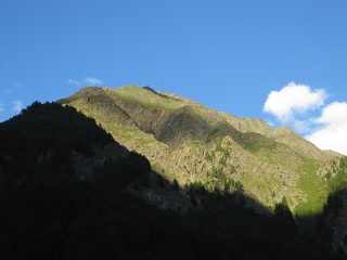 IMG 1727