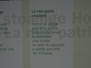 IMG 1734