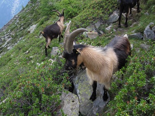 IMG 1743