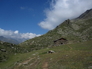 IMG 1746
