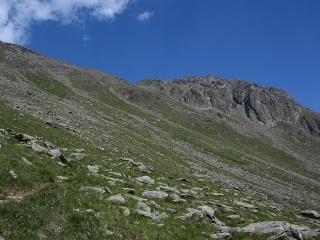 IMG 1758