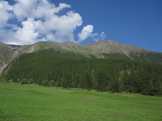 IMG 1760