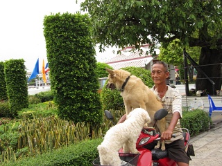 IMG 0031