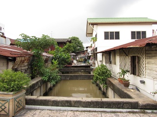 IMG 0042