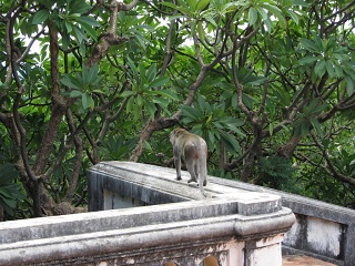 IMG 0116
