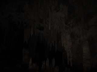 IMG 0131