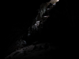 IMG 0132