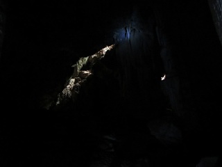 IMG 0147