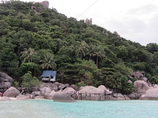 IMG 0223