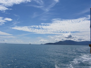 IMG 0280