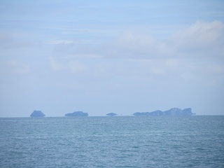 IMG 0287