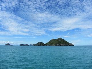 IMG 0294