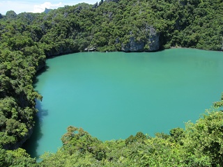IMG 0310