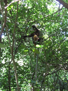 IMG 0340