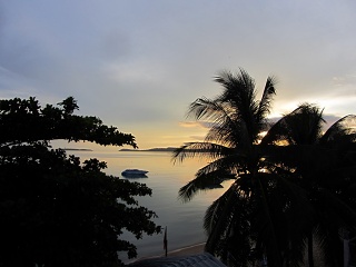IMG 0358