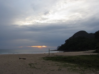 IMG 0374