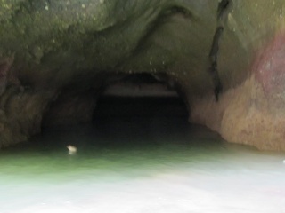 IMG 0392