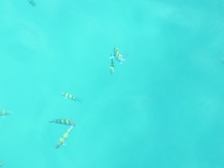 IMG 0436