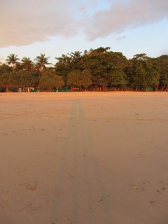 IMG 0502