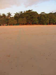 IMG 0503