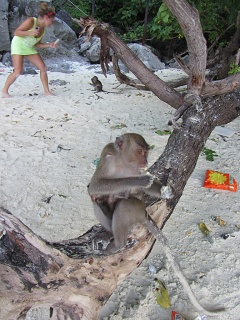 IMG 0537