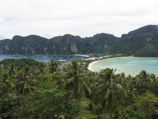 IMG 0593