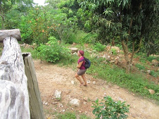 IMG 0597