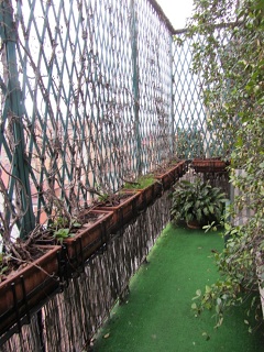 Image015